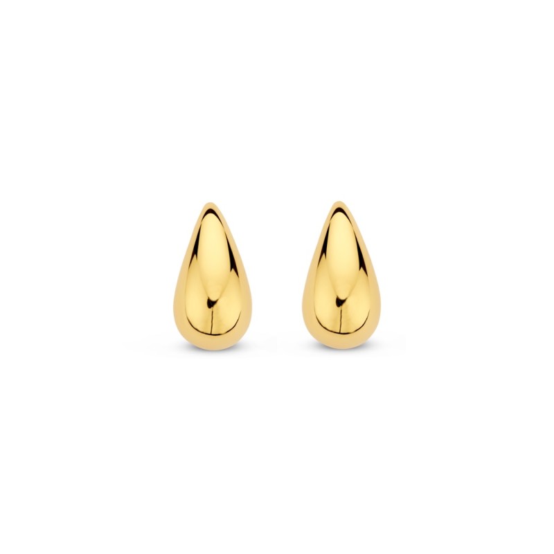 Boucles Plaquées Or sur argent