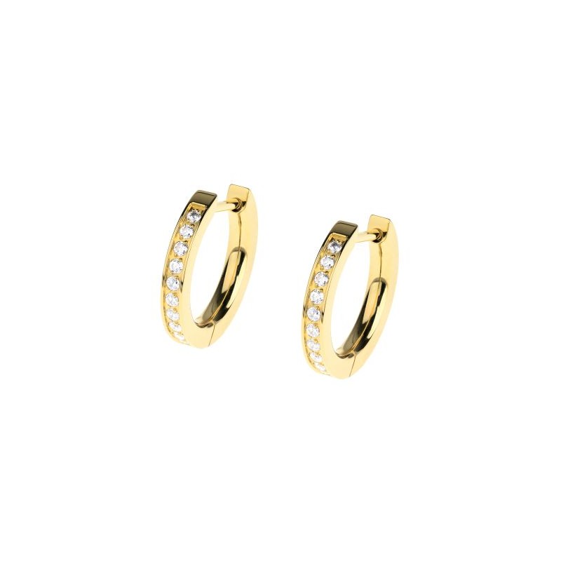 Boucles Acier plaqué or jaune & Oxydes