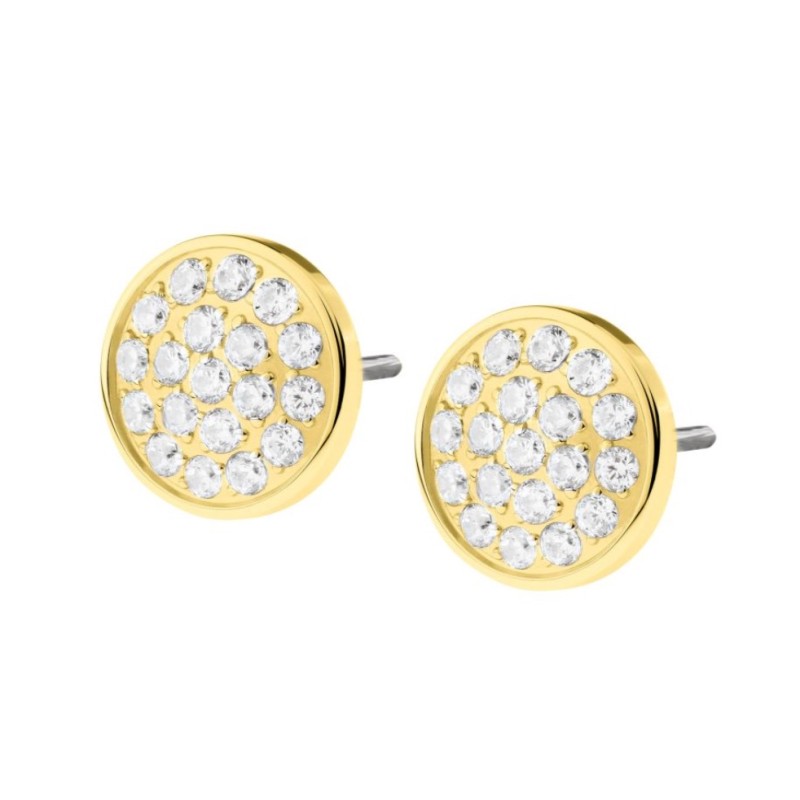 Boucles Acier plaqué or & Oxydes