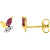 Boucles Or et Pierres Rubis et Oxyde
