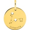 Médaille Or Constellation Poissons
